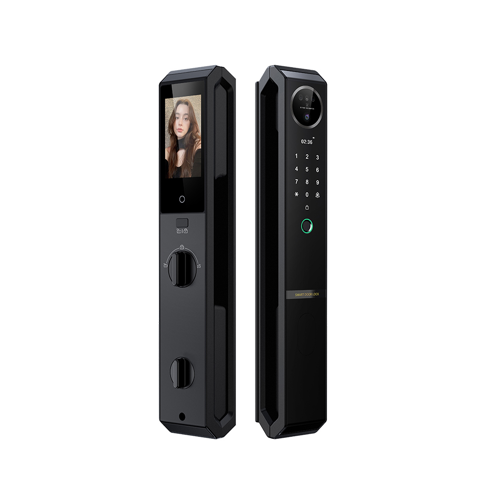 Smart Doorlock With Facial recognition, Palm recognition, Works with fingerprint, Passcodes, APP control, RFID Cards &amp; Mechanical Keys, Black housing, IP65