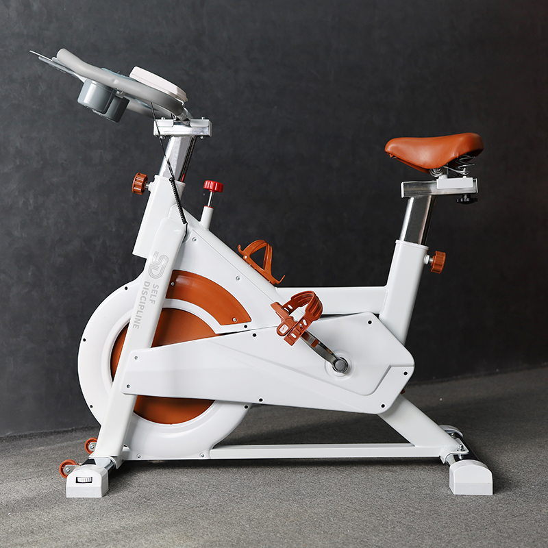 Ultra-quiet Exercise Bike Indoor Spinning Bike 