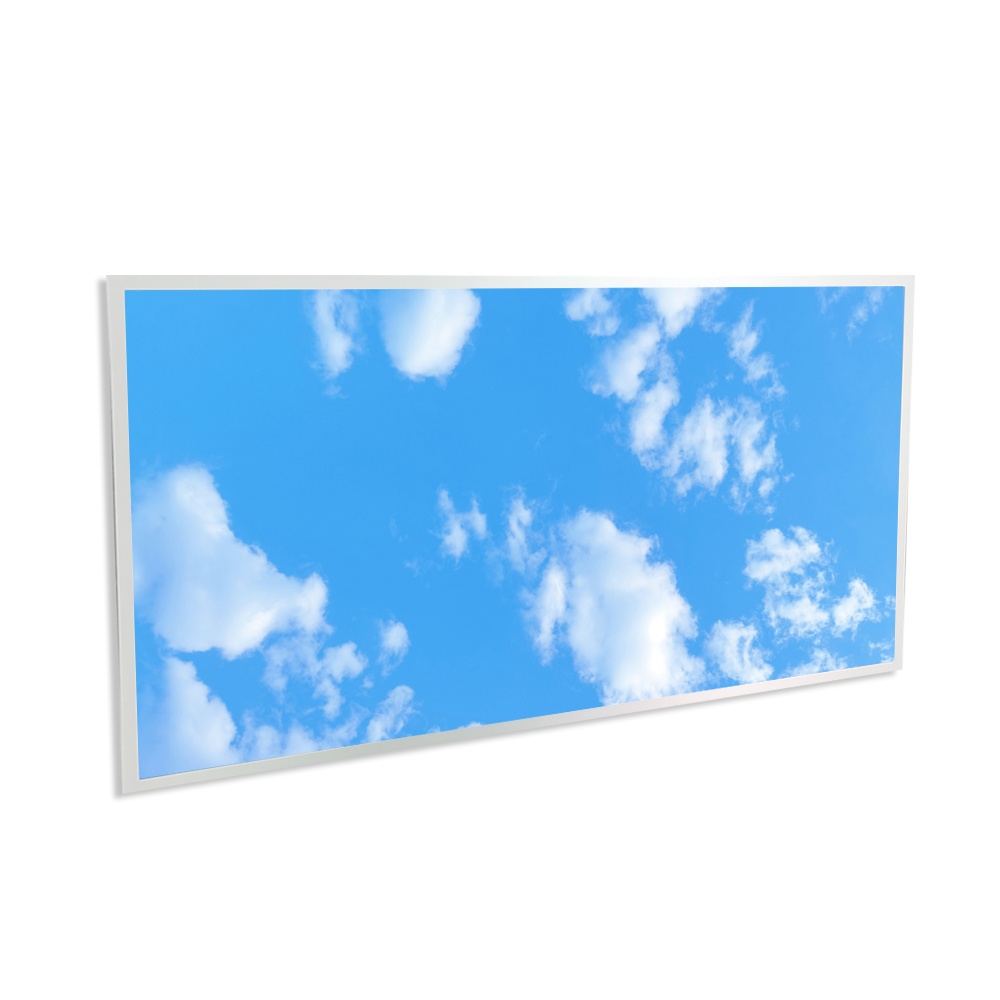 1195x595mm size LED Backlit Panel with 2D Sky Picture,60W (2pc pack)
