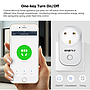  Smart WiFi Plug