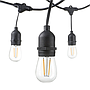 LED Filament Bulb String Light Kit 10.2 meters (inc 10x2W Filament LED Lamps)