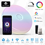 Wi-Fi Ceiling Lights 24W, RGB+W+WW, Dimmable with Bluetooth Speaker