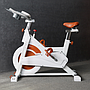 Ultra-quiet Exercise Bike Indoor Spinning Bike 